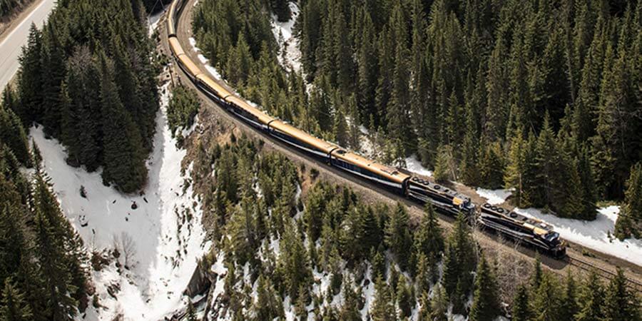 A train winding through the dense forests and mountains of the Canadian Rockies.